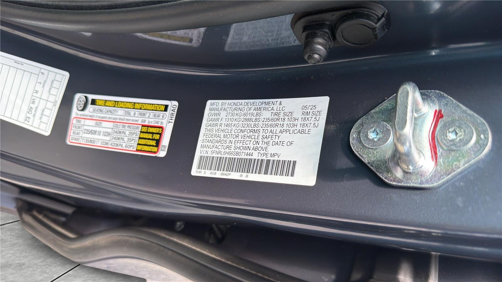 2025 Honda Odyssey EX-L